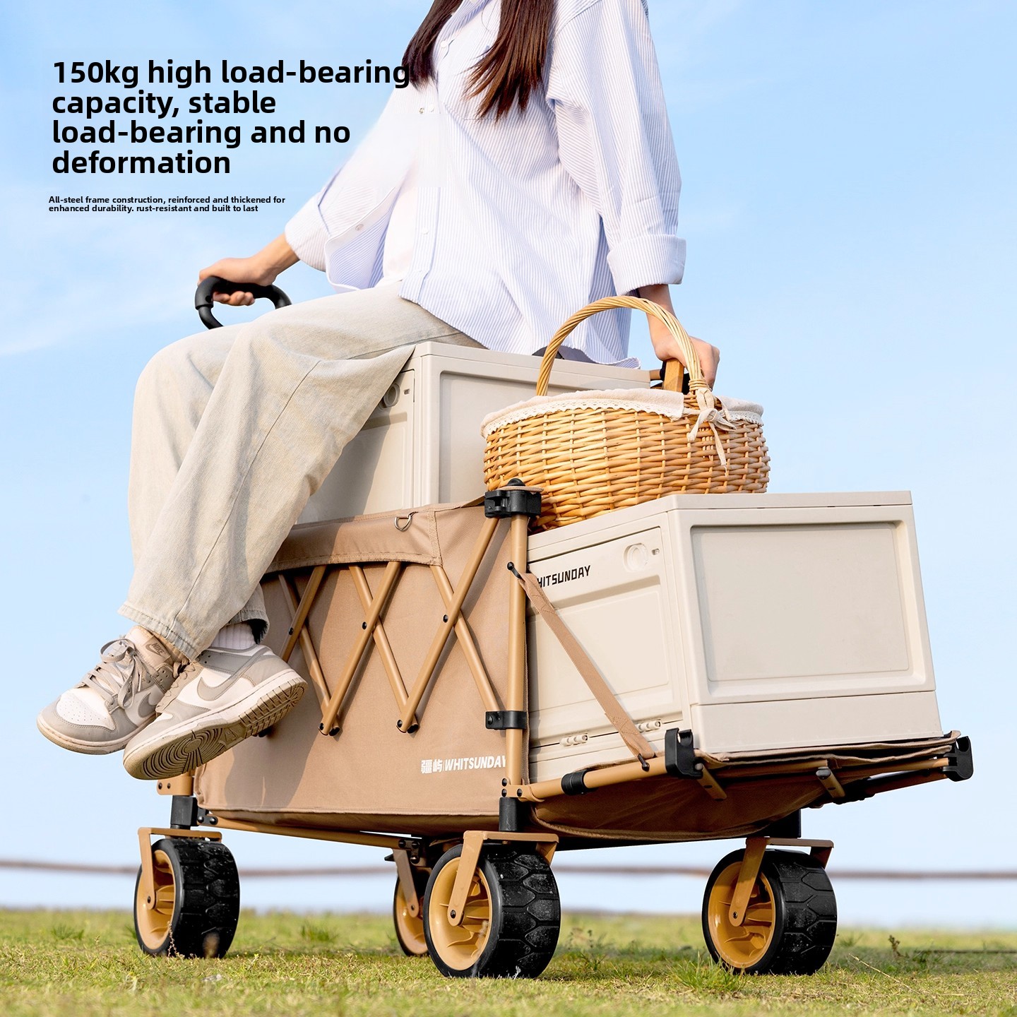 Carro plegable con ruedas, car - Sports Equipment Trolley reseña y precio